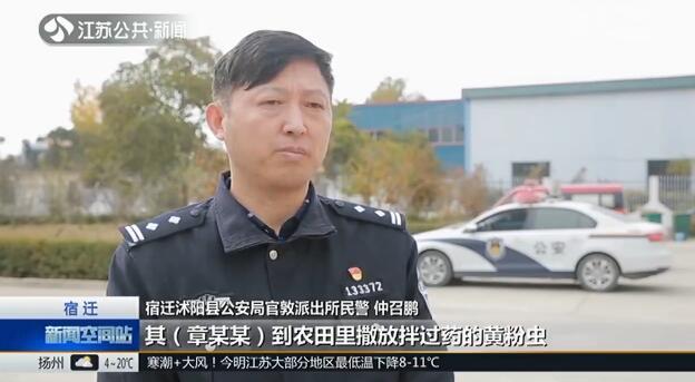 毒殺云雀被刑拘 為口腹之欲貪吃男子毒殺小鳥(niǎo)